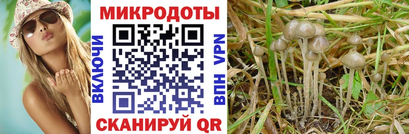 Галлюциногенные грибы Psilocybe  Сарапул 